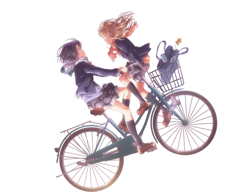 Bicicleta Adachi